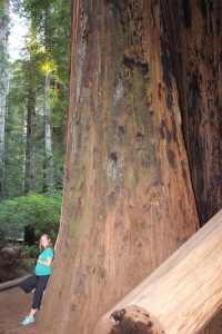 Hiking in the Redwood Forest, California!  We did a LOT of hiking on our OR/CA trip! 23 Weeks